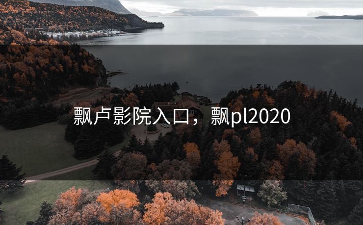 飘卢影院入口，飘pl2020