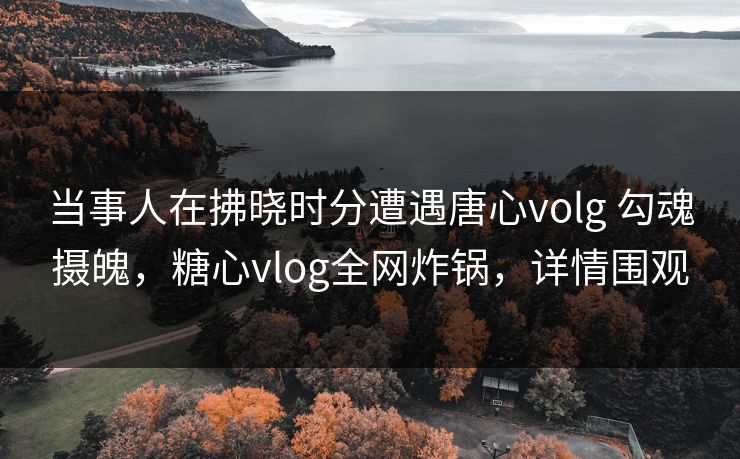 当事人在拂晓时分遭遇唐心volg 勾魂摄魄，糖心vlog全网炸锅，详情围观